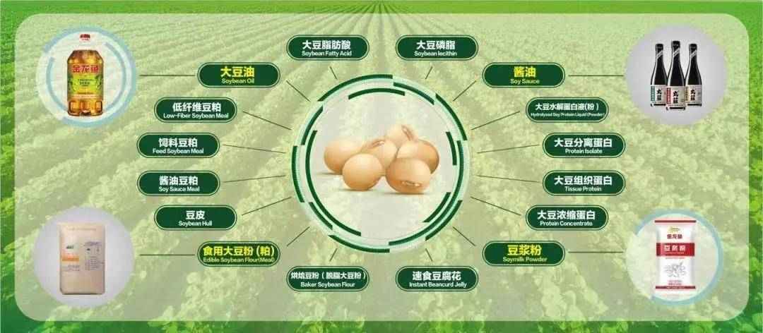 深度解析,Nuls 11月8日最新更新特性与用户体验评测