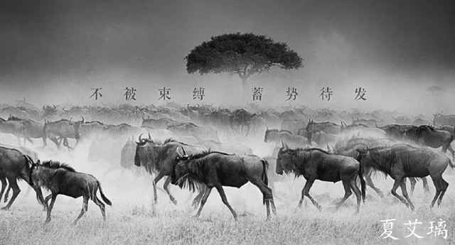 今晚最准四不像,未来解答解释落实_标配版90.676