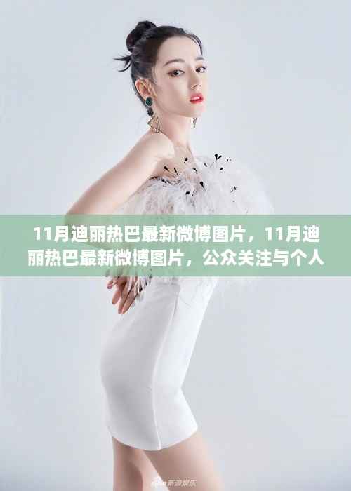 迪丽热巴11月微博图片,公众关注与个人立场的碰撞