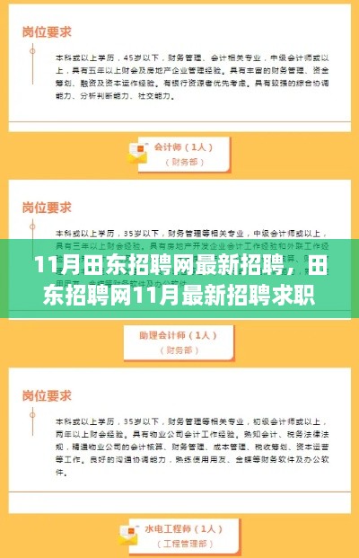 田东招聘网最新招聘求职全攻略,轻松找到心仪工作的步骤指南(11月版)