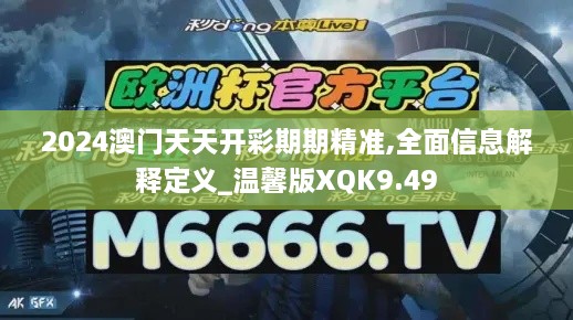 2024澳门天天开彩期期精准,全面信息解释定义_温馨版XQK9.49