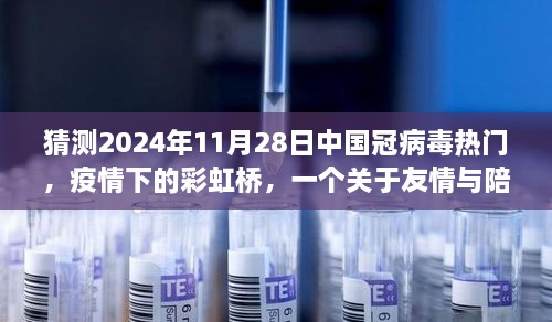 关于我们 第464页