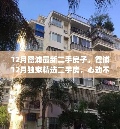 关于我们 第315页
