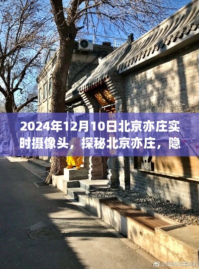 lingkongfeiqi 第10页