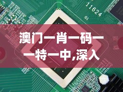 关于我们 第209页