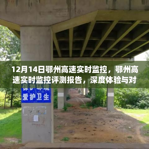 实时观察