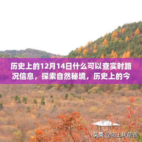 历程