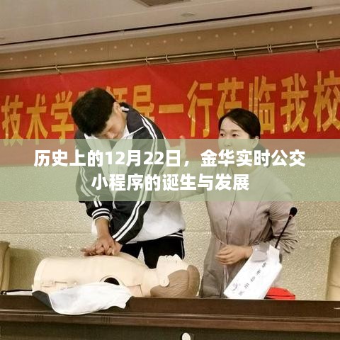 诞生与成长历程