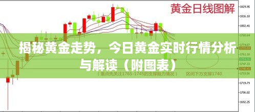 buyierfei 第5页