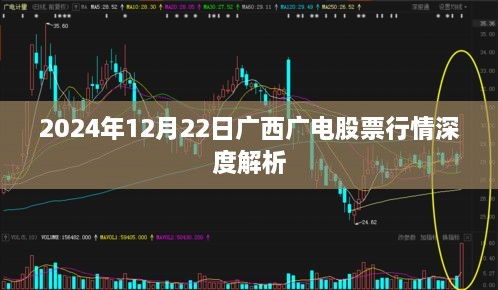 全面解析