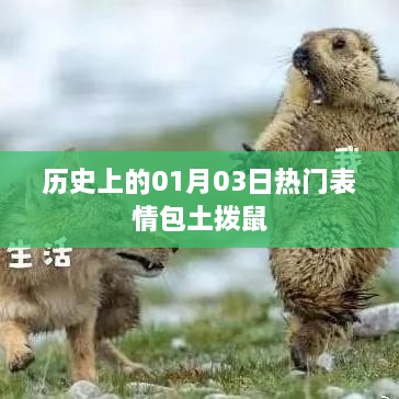 xiongjingniaoshen 第3页