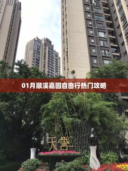 关于我们 第39页