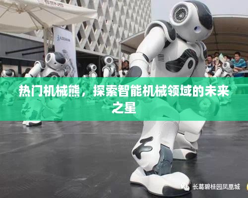 关于我们 第37页