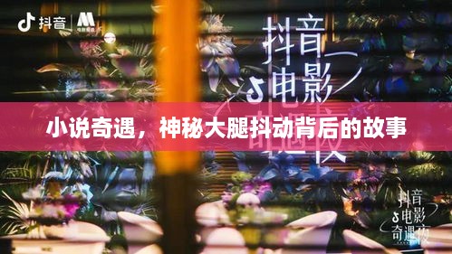 shiquanshimei 第2页