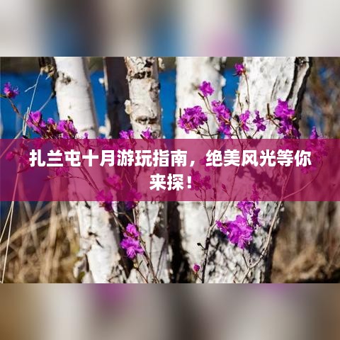 行业资讯 第15页