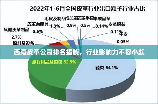 客户案例 第12页