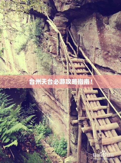行业资讯 第11页