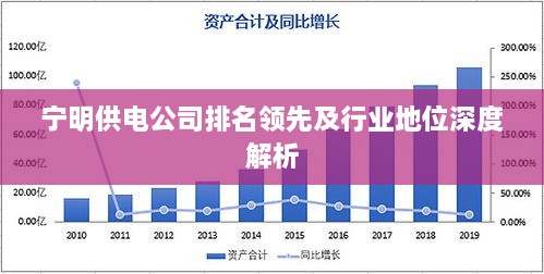 宁明供电公司排名领先及行业地位深度解析