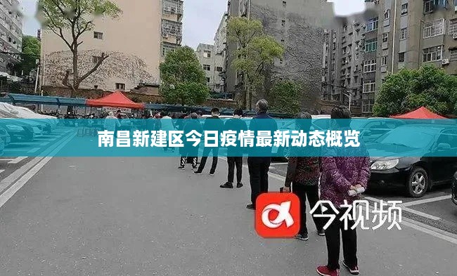 南昌新建区今日疫情最新动态概览